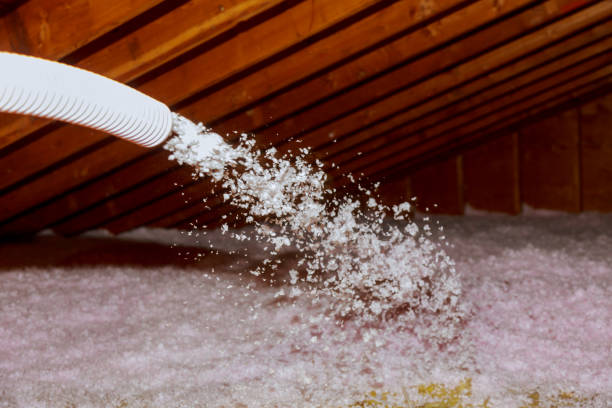 Best Insulation Maintenance and Repair in Brighton, IL